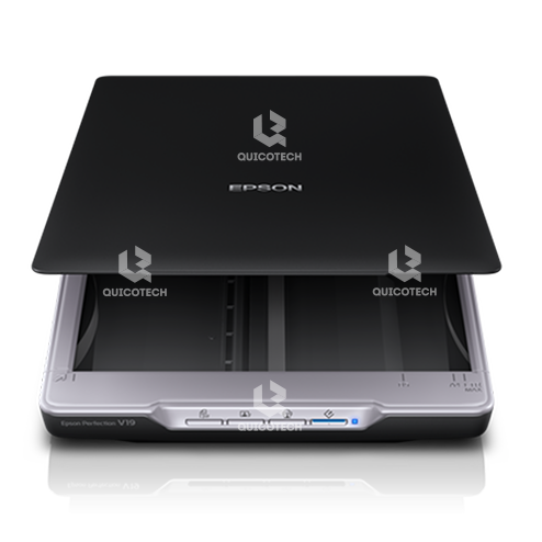 EPSON Scanner PERFECTION V19