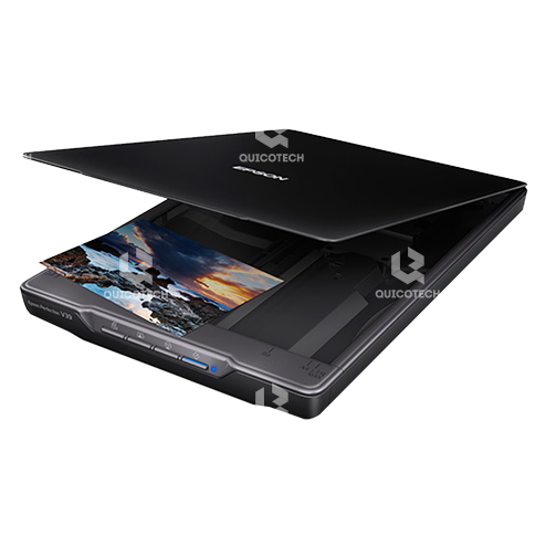 EPSON Scanner PERFECTION V19
