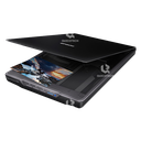 EPSON Scanner PERFECTION V19