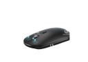 MOUSCHI ELEGENT PROFESSIONAL WIRELESS MOUSE