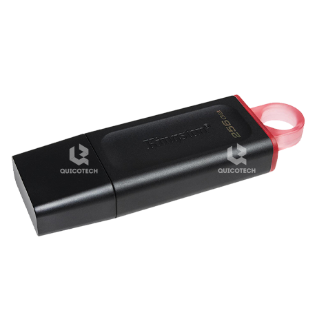 KINGSTON USB FLASH 3.2 256GB DTX