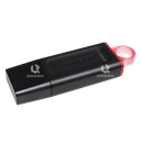KINGSTON USB FLASH 3.2 256GB DTX