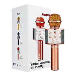 [1.6549-MO] Wireless Speaker BT microphone WS-858