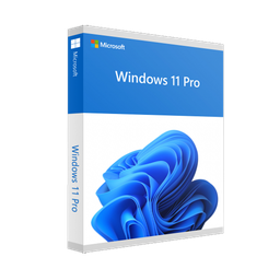 Microsoft Windows 11 Pro 64 BIT